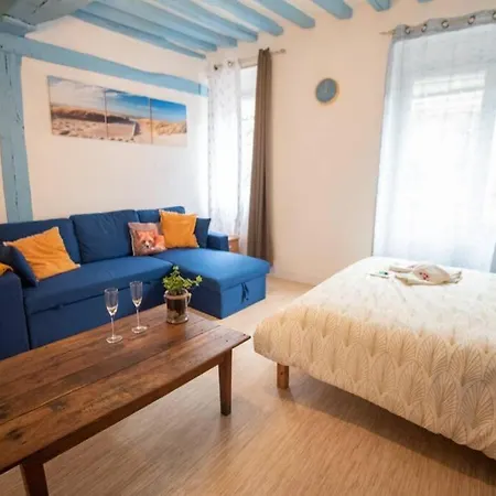 Blue With A Fireplace Apartment *